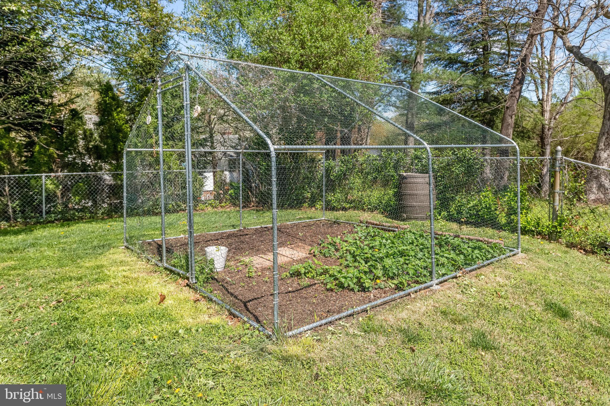 8006 Hatteras Lane Springfield, VA 22151 - Photo 24 of 31 a view of a backyard with wooden fence