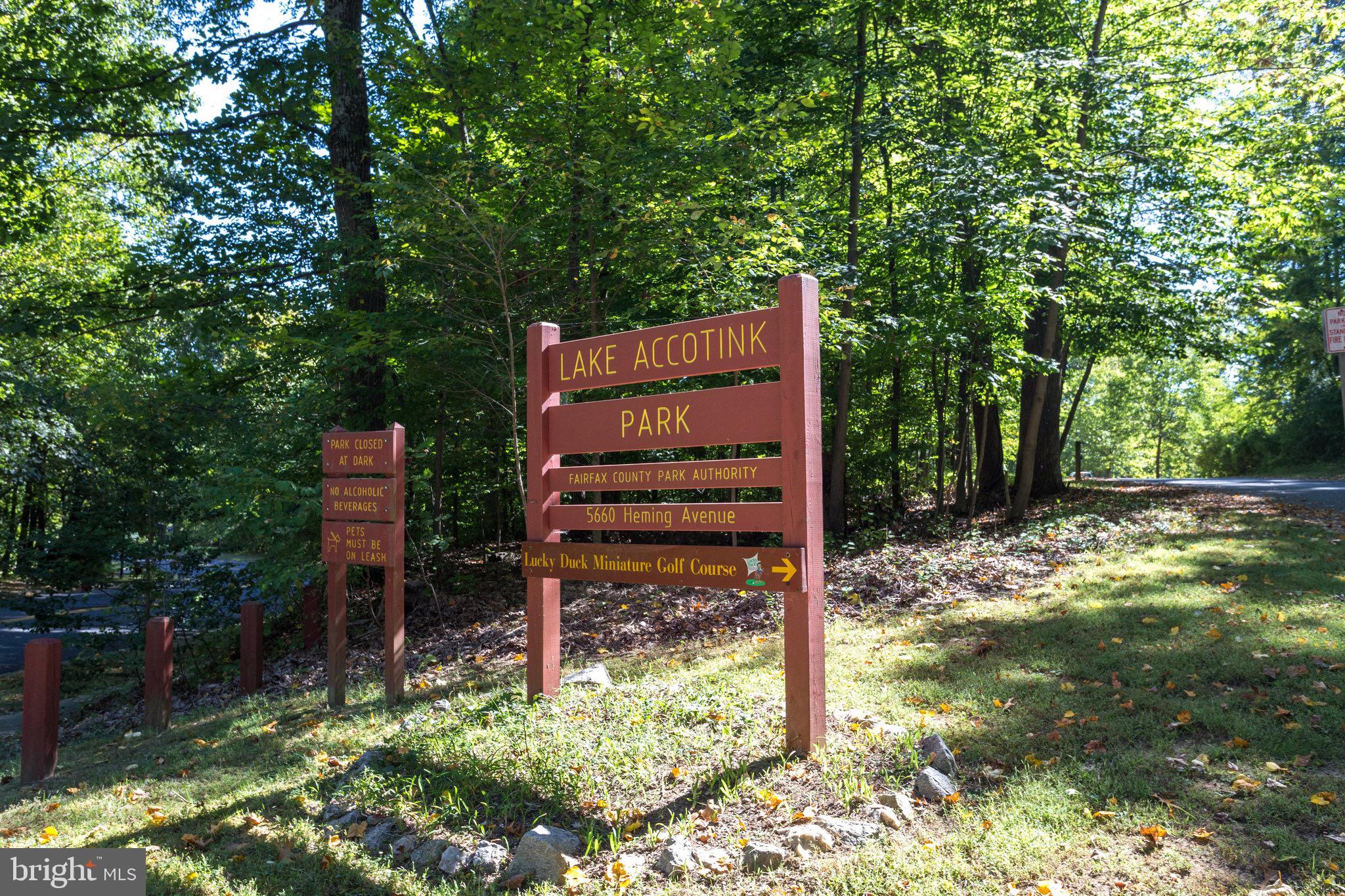8006 Hatteras Lane Springfield, VA 22151 - Photo 25 of 31 a backyard of a house with lots of green space
