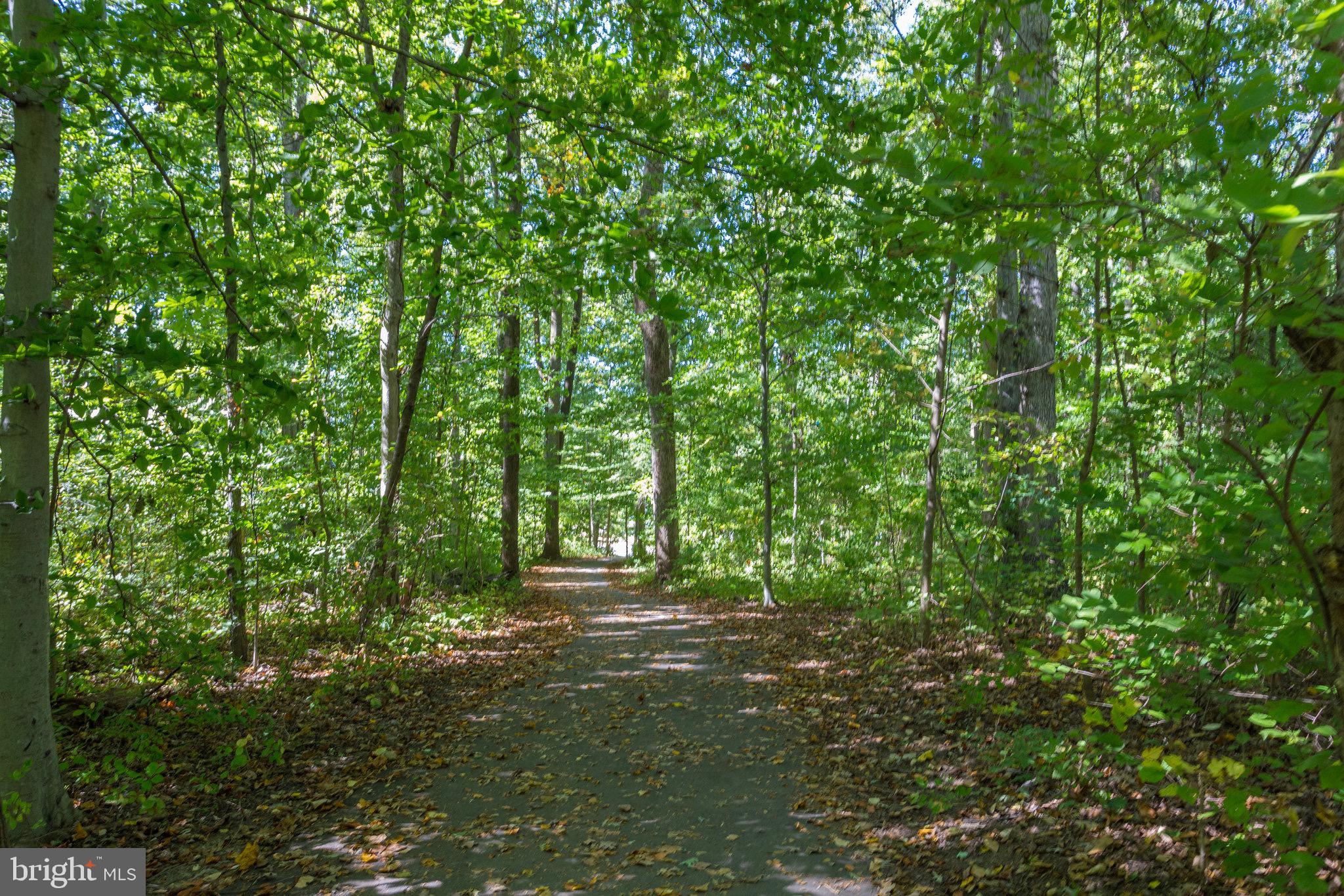 8006 Hatteras Lane Springfield, VA 22151 - Photo 26 of 31 a view of outdoor space and yard