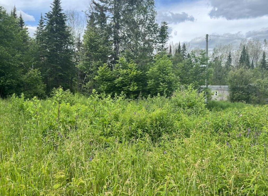 Screen Shot 2023-05-03 at 5.38.34 PM