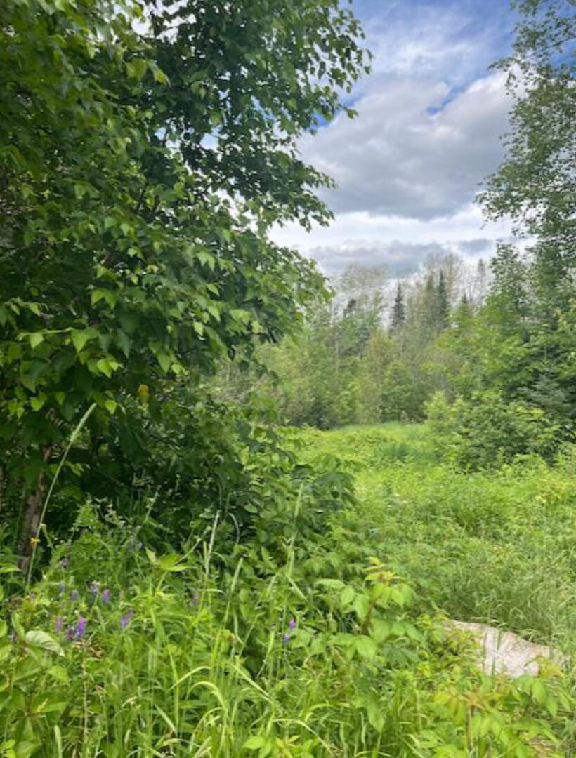 251 Morneault Road Grand Isle, ME 04746 - Photo 2 of 6 Screen Shot 2023-05-03 at 5.38.42 PM