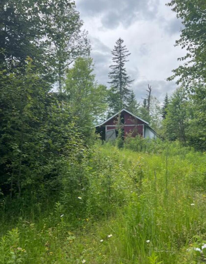 251 Morneault Road Grand Isle, ME 04746 - Photo 3 of 6 Screen Shot 2023-05-03 at 5.38.51 PM