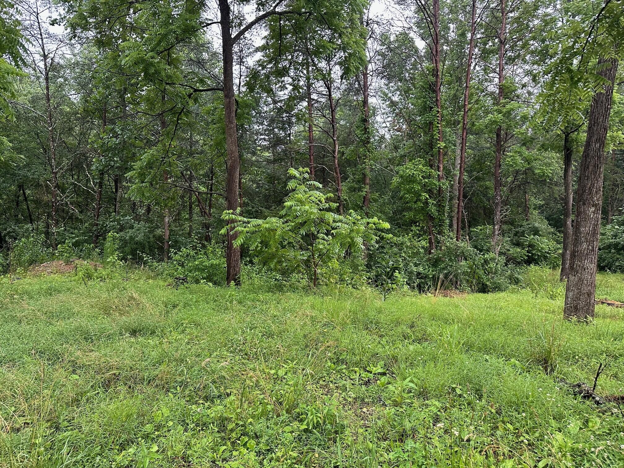 4 Sawmill Road Palmer, TN 37365 - Photo 2 of 9 Gallery Image 2