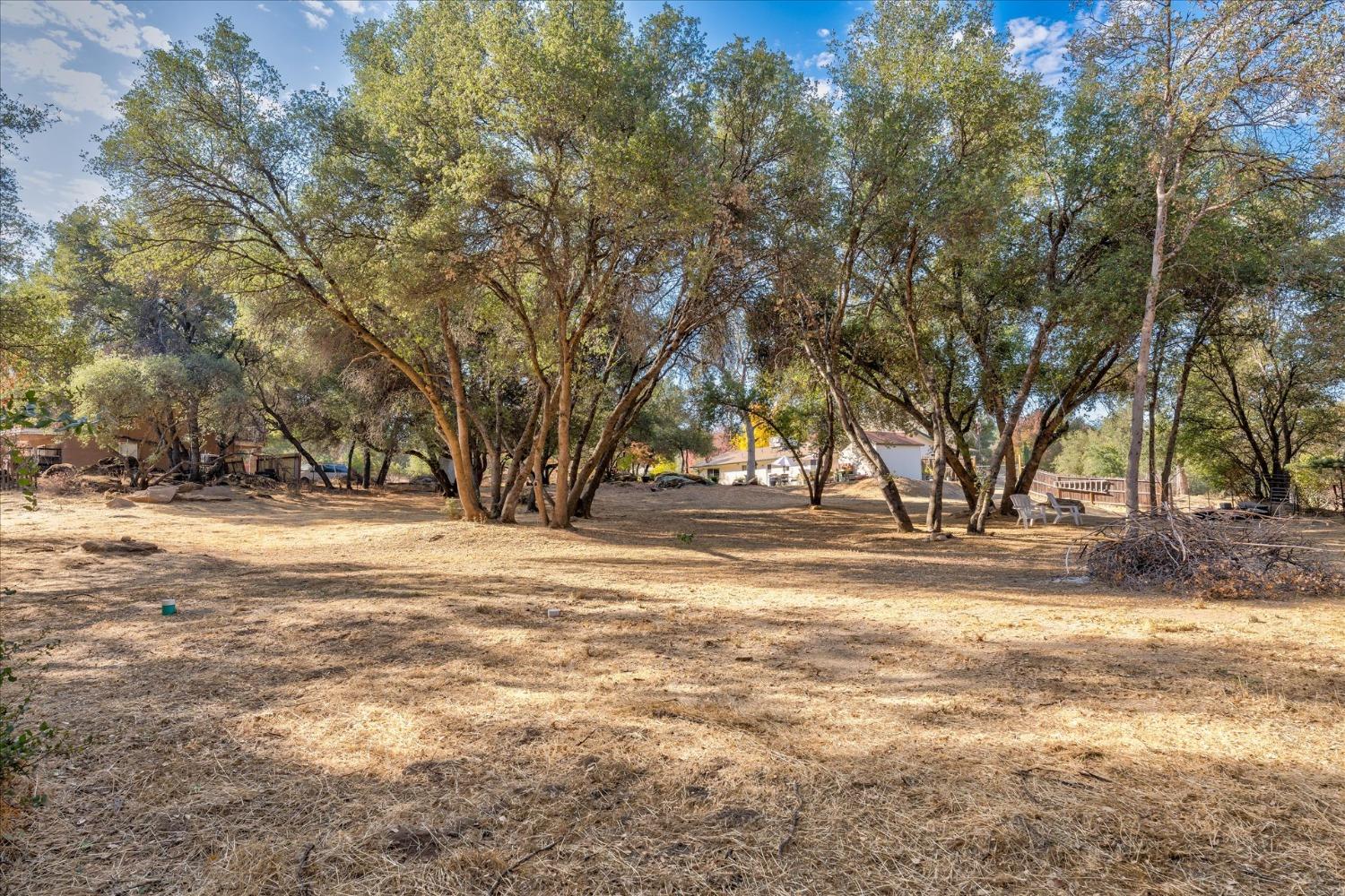 31545 Crow Road Coarsegold, CA 93614 - Photo 29 of 30 Gallery Image 29
