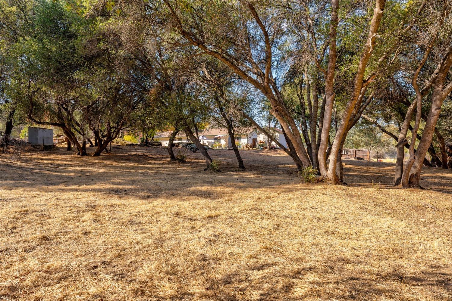 31545 Crow Road Coarsegold, CA 93614 - Photo 30 of 30 Gallery Image 30