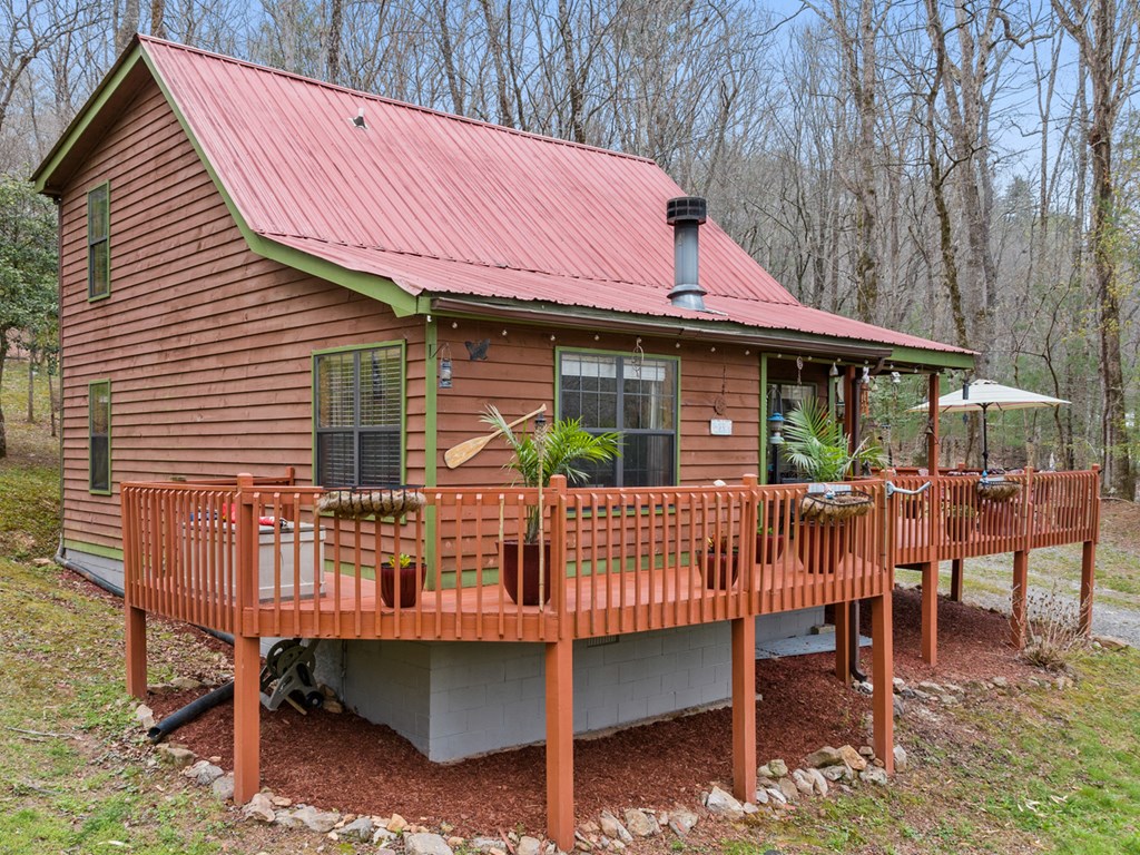 541 Black Ankle Creek Road Cherry Log, GA 30522 - Photo 2 of 27
