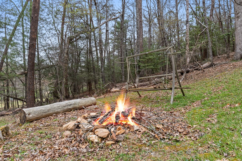 541 Black Ankle Creek Road Cherry Log, GA 30522 - Photo 27 of 27
