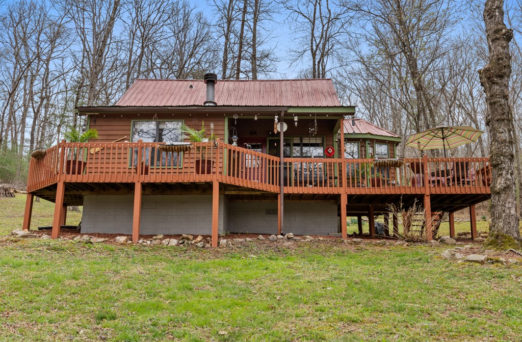 541 Black Ankle Creek Road Cherry Log, GA 30522 - Photo 4 of 27