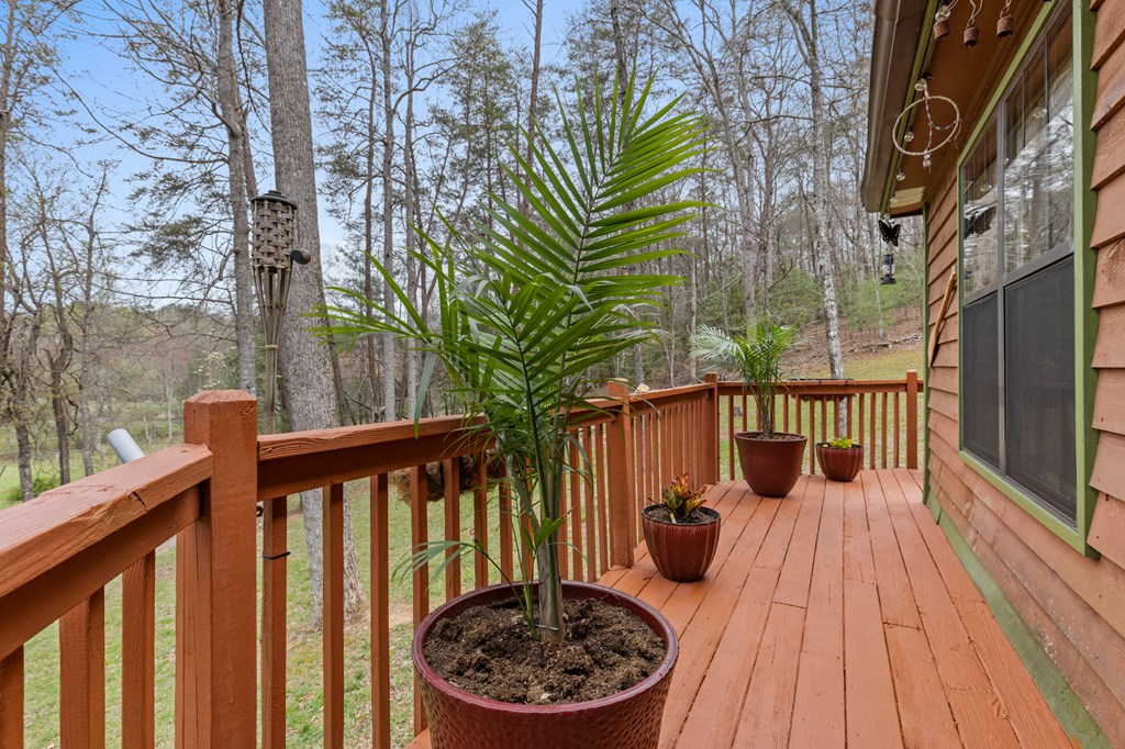 541 Black Ankle Creek Road Cherry Log, GA 30522 - Photo 8 of 27