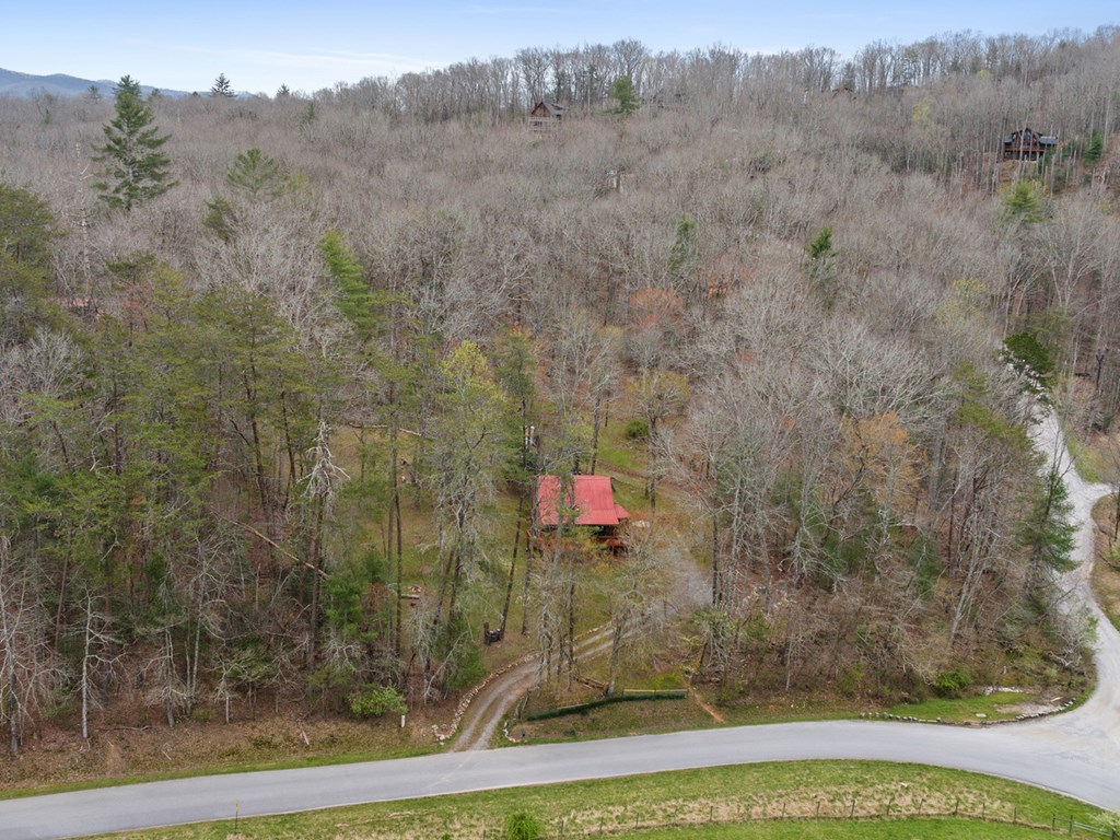 541 Black Ankle Creek Road Cherry Log, GA 30522 - Photo 9 of 27