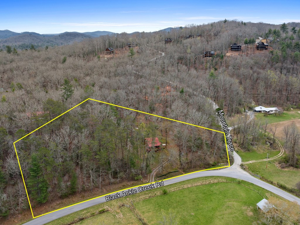 541 Black Ankle Creek Road Cherry Log, GA 30522 - Photo 10 of 27