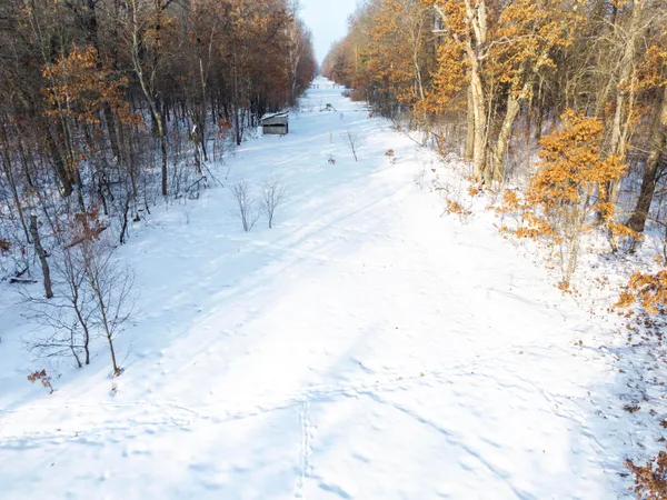 $89,999 | 2578 East 36th Street, Idlewild, MI 49642