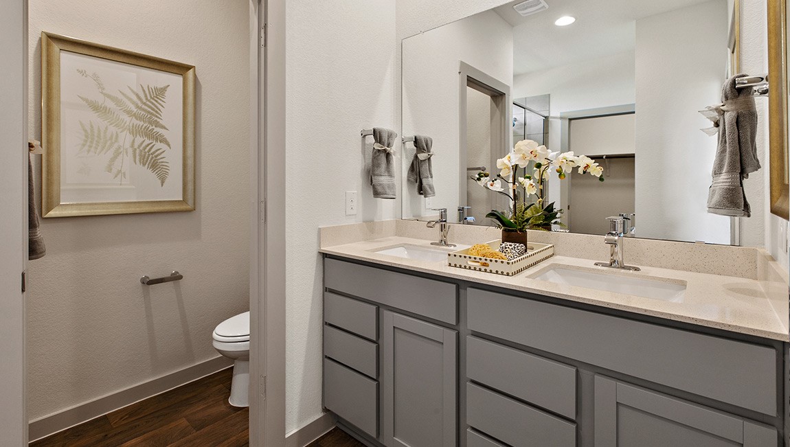 4712 Oxgang Drive Pflugerville, TX 78660 - Photo 19 of 33 a bathroom with a double vanity sink and a mirror
