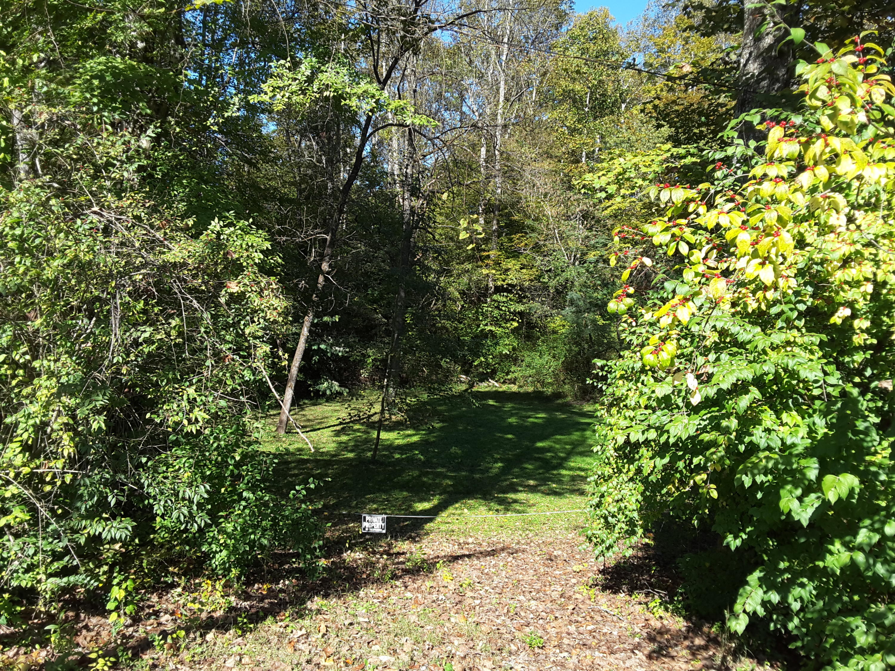 20181024_120543