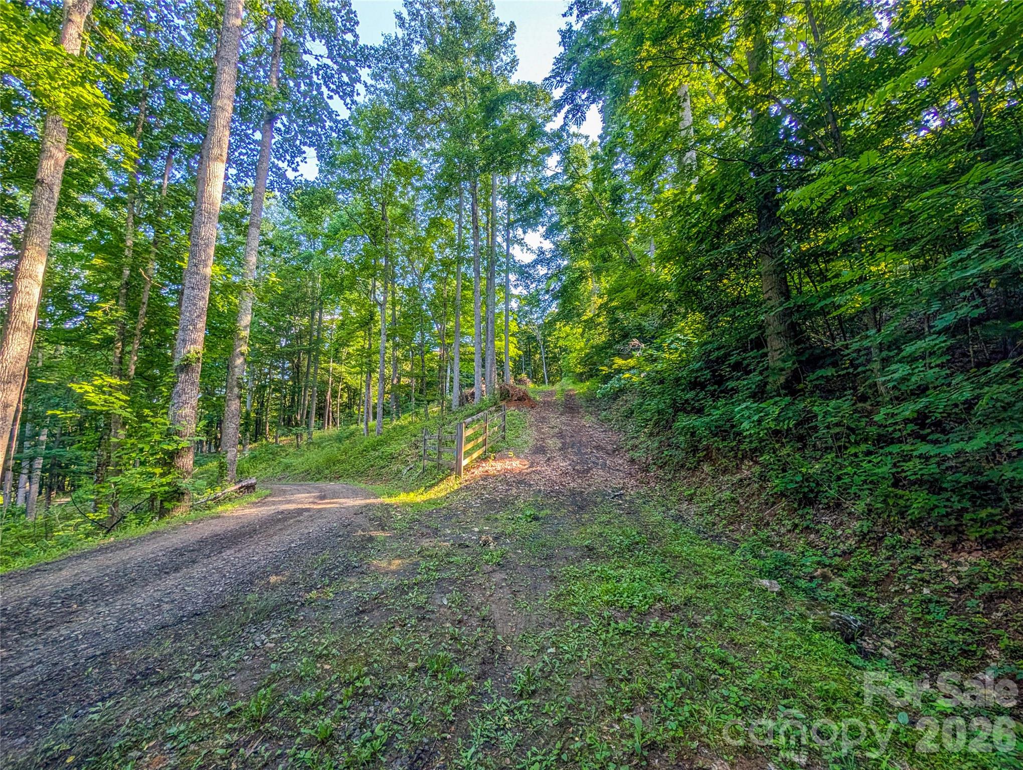0 Amber Ranches, Unit 47 Bakersville, NC 28705 - Photo 15 of 18