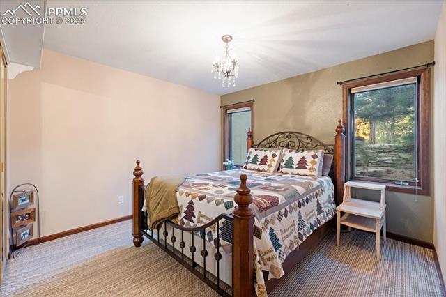 18145 Furrow Road Monument, CO 80132 - Photo 21 of 30 This lower level bedroom is spacious and bright