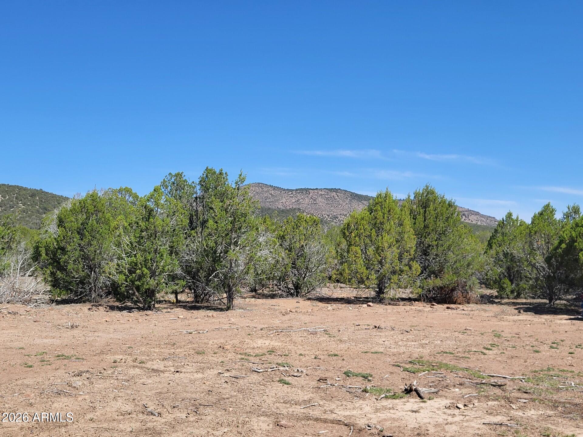 107 North A N Ranch Road, Unit 107A Williams, AZ 86046 - Photo 6 of 18 a view of a yard with a tree