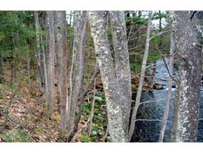 14 Prescott Road Sanbornton, NH 03269 - Photo 4 of 4 Gallery Image 4