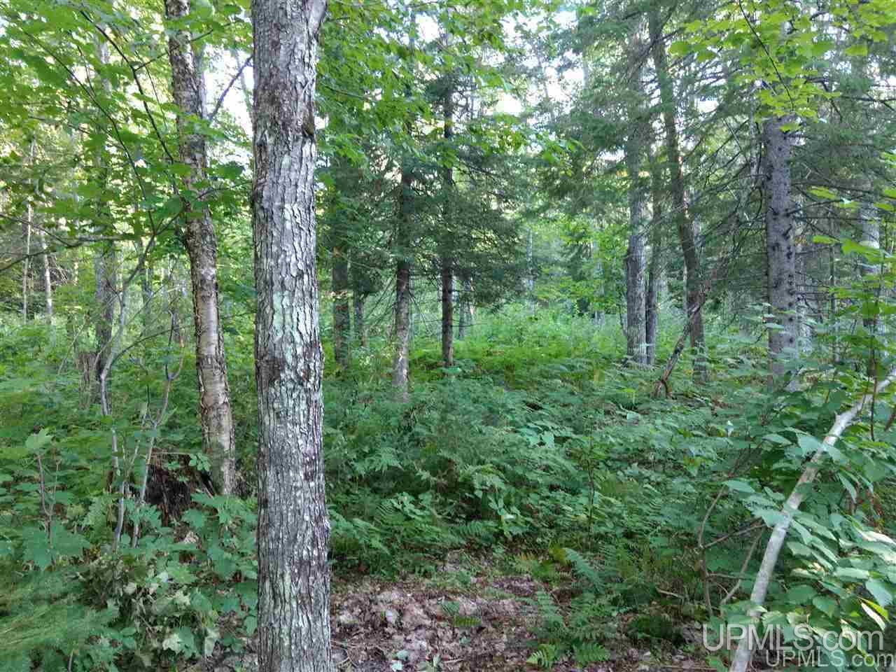 Tbd Sandstone B Road Lake Linden, MI 49945 - Photo 34 of 50