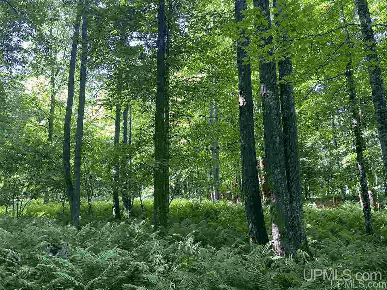 4036 26th Road Cornell, MI 49818 - Photo 30 of 49