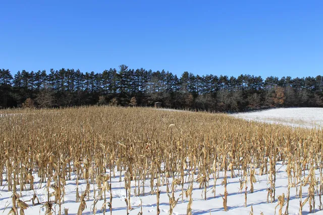 $5,000,000 | W8970 County Rd P, Almond, WI 54909