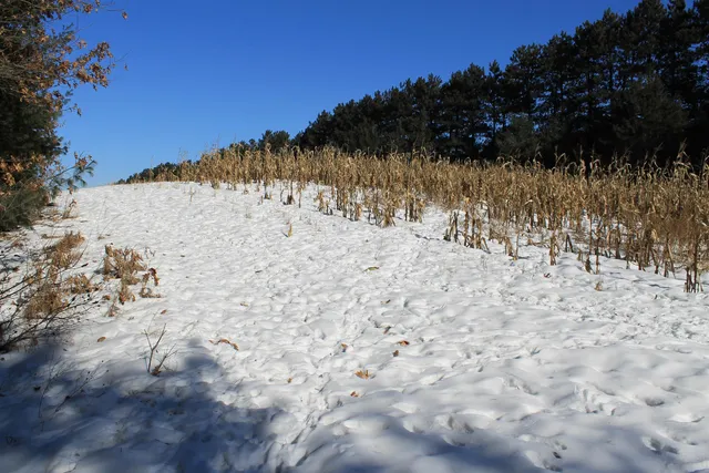 $5,000,000 | W8970 County Rd P, Almond, WI 54909