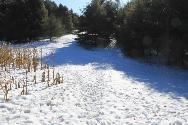 $5,000,000 | W8970 County Rd P, Almond, WI 54909