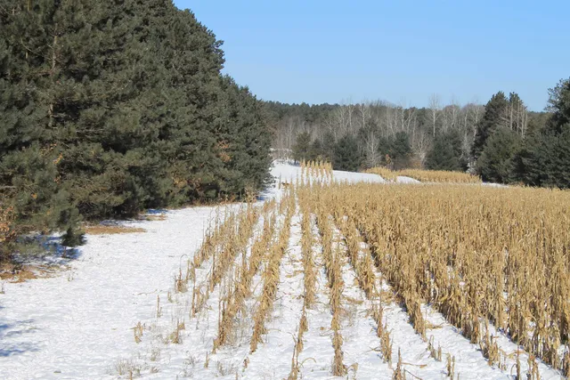 $5,000,000 | W8970 County Rd P, Almond, WI 54909