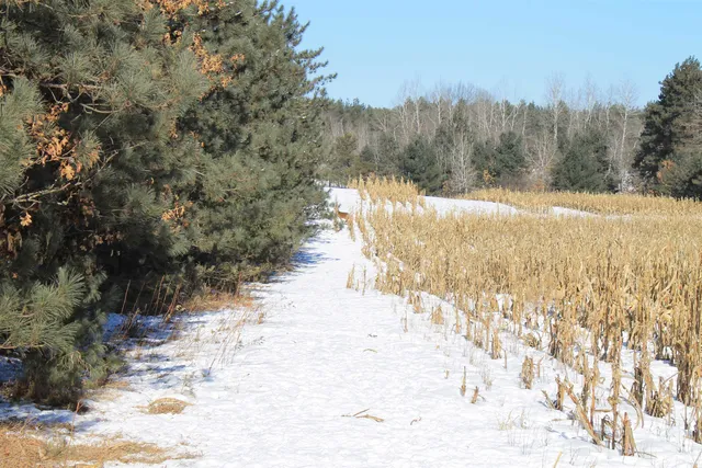 $5,000,000 | W8970 County Rd P, Almond, WI 54909