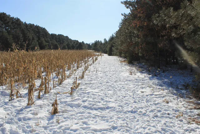 $5,000,000 | W8970 County Rd P, Almond, WI 54909