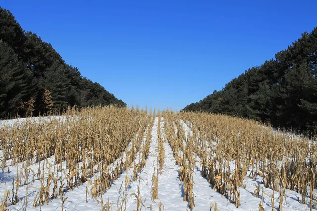 $5,000,000 | W8970 County Rd P, Almond, WI 54909