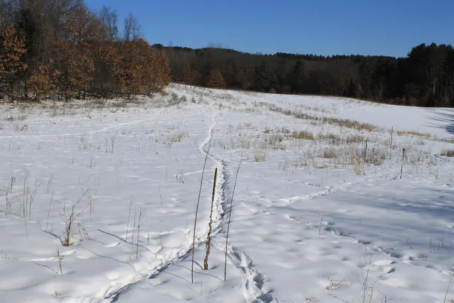 $5,000,000 | W8970 County Rd P, Almond, WI 54909