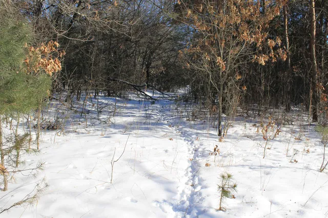 $5,000,000 | W8970 County Rd P, Almond, WI 54909