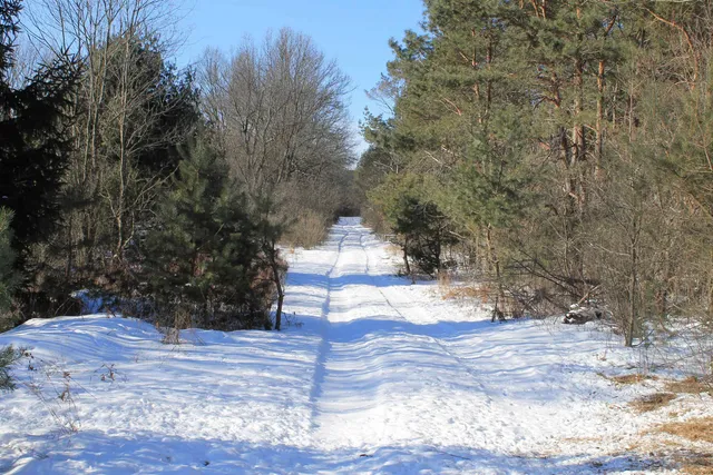 $5,000,000 | W8970 County Rd P, Almond, WI 54909