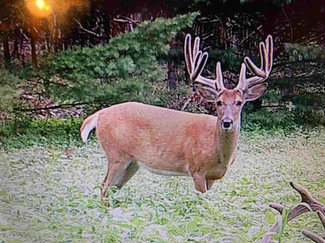 $5,000,000 | W8970 County Rd P, Almond, WI 54909