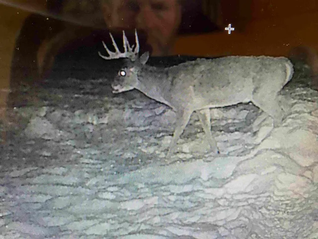 $5,000,000 | W8970 County Rd P, Almond, WI 54909