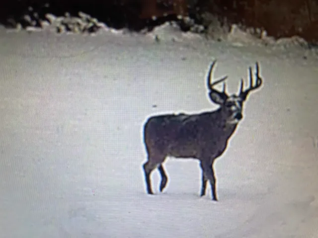 $5,000,000 | W8970 County Rd P, Almond, WI 54909