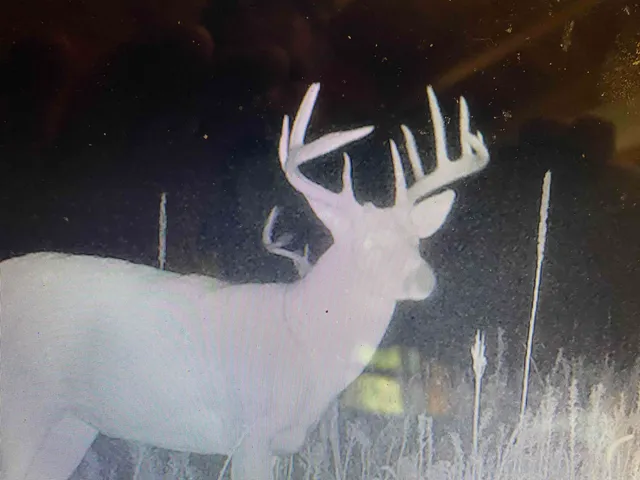 $5,000,000 | W8970 County Rd P, Almond, WI 54909