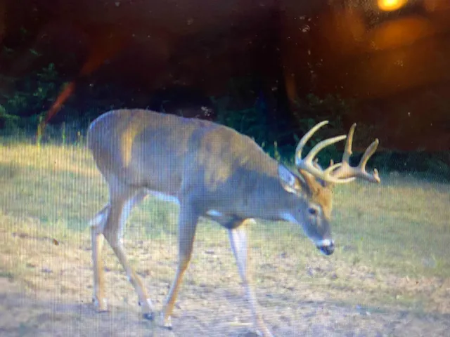 $5,000,000 | W8970 County Rd P, Almond, WI 54909