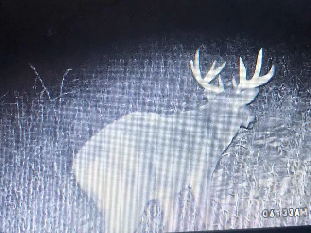 $5,000,000 | W8970 County Rd P, Almond, WI 54909