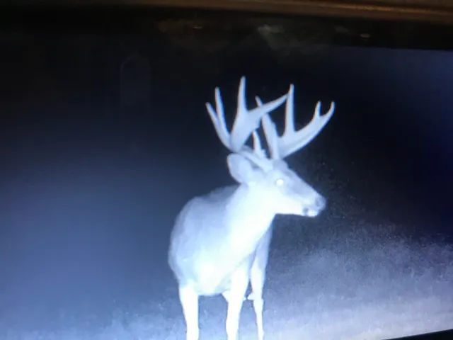 $5,000,000 | W8970 County Rd P, Almond, WI 54909