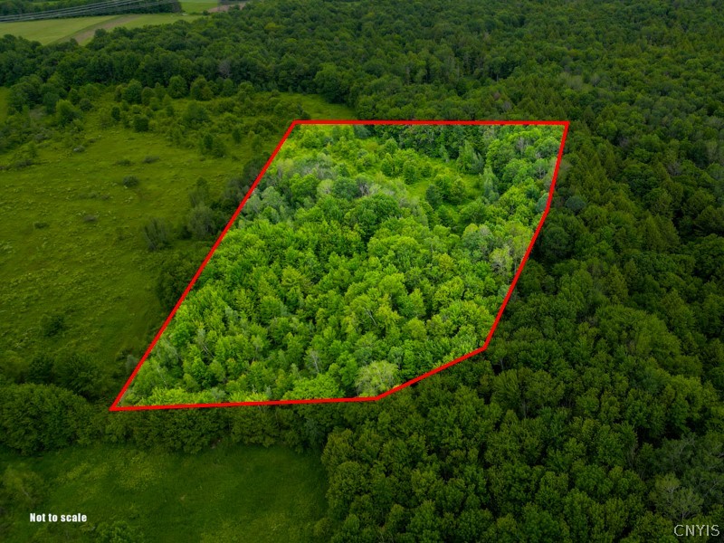 8031 Benson Road Floyd, NY 13354 - Photo 4 of 33