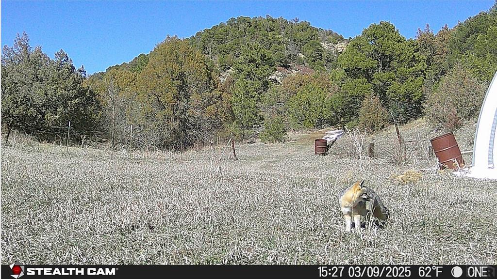 17001 Peacock Road Trinidad, CO 81082 - Photo 62 of 62