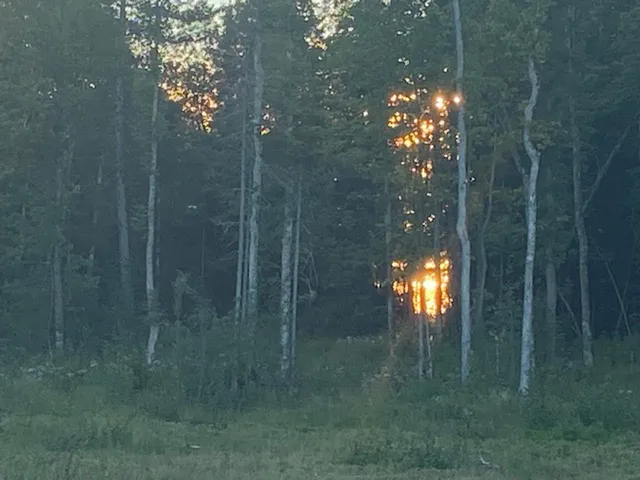 $99,500 | 4 Hwy 23 Orr Mn 55771, Orr, MN 55771