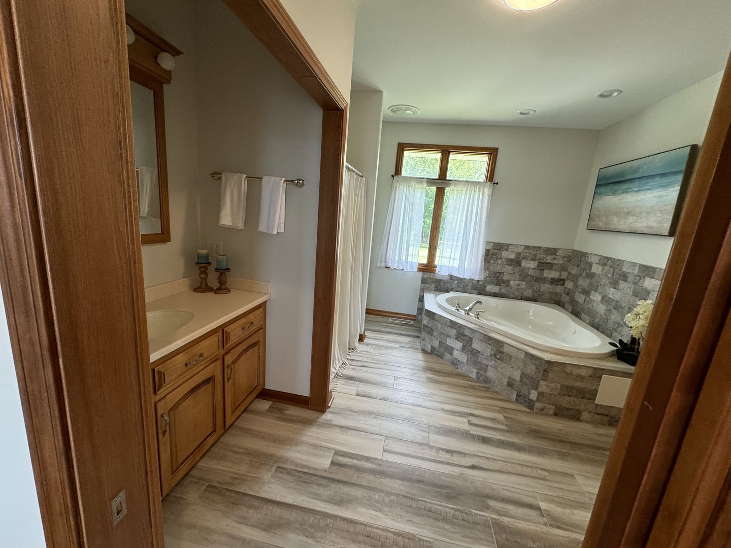 8726 East Goodfarm Road Gardner, IL 60424 - Photo 5 of 12 a bathroom with a sink and a bathtub
