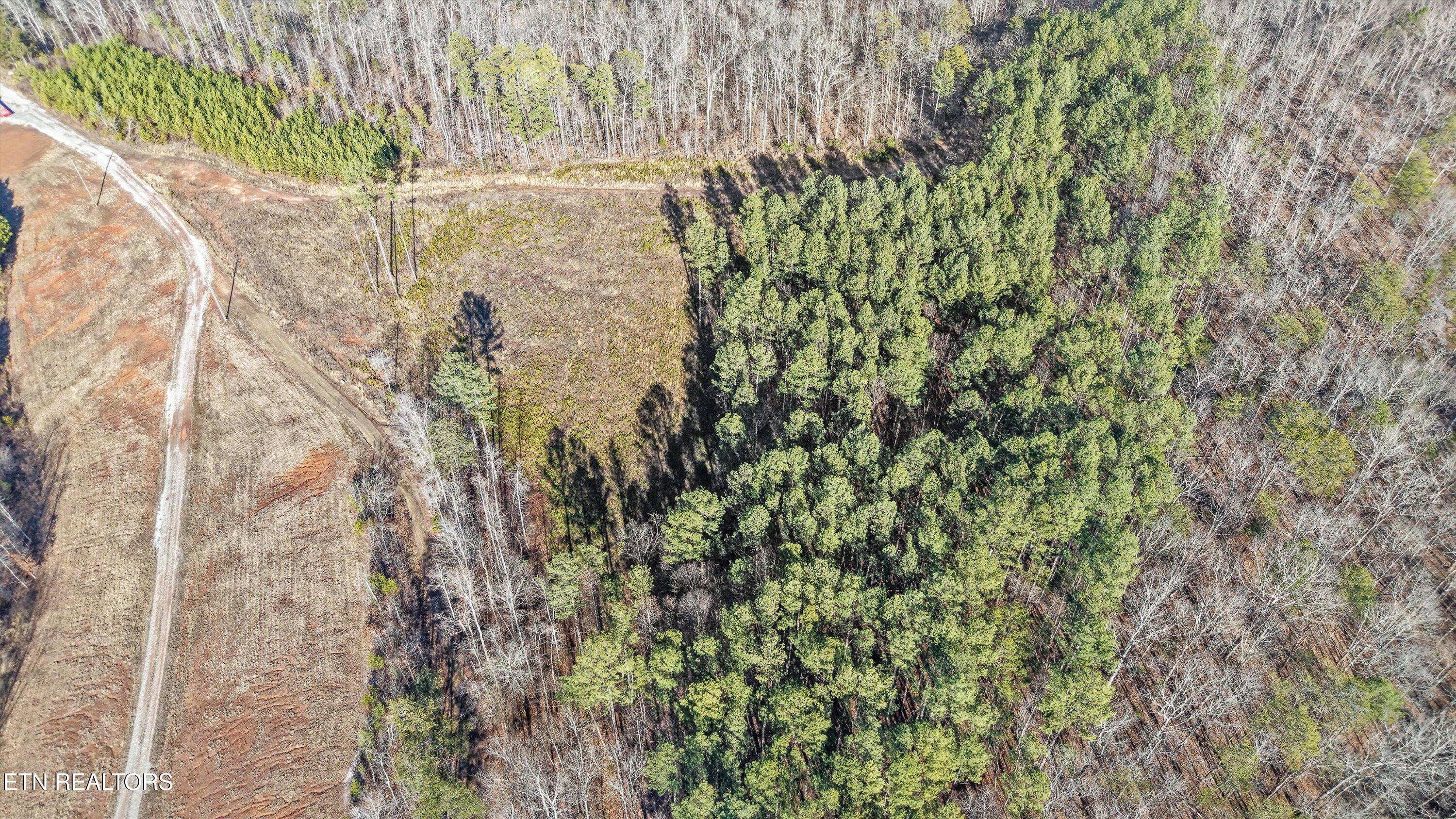 235 Bill Moser Road Vonore, TN 37885 - Photo 5 of 12 11-235 Bill Moser Rd08