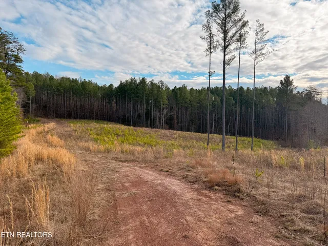 $175,000 | 235 Bill Moser Road, Vonore, TN 37885