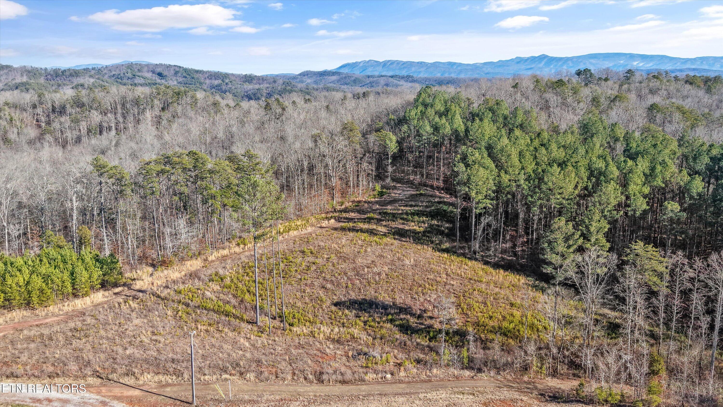 235 Bill Moser Road Vonore, TN 37885 - Photo 8 of 12 13-235 Bill Moser Rd05