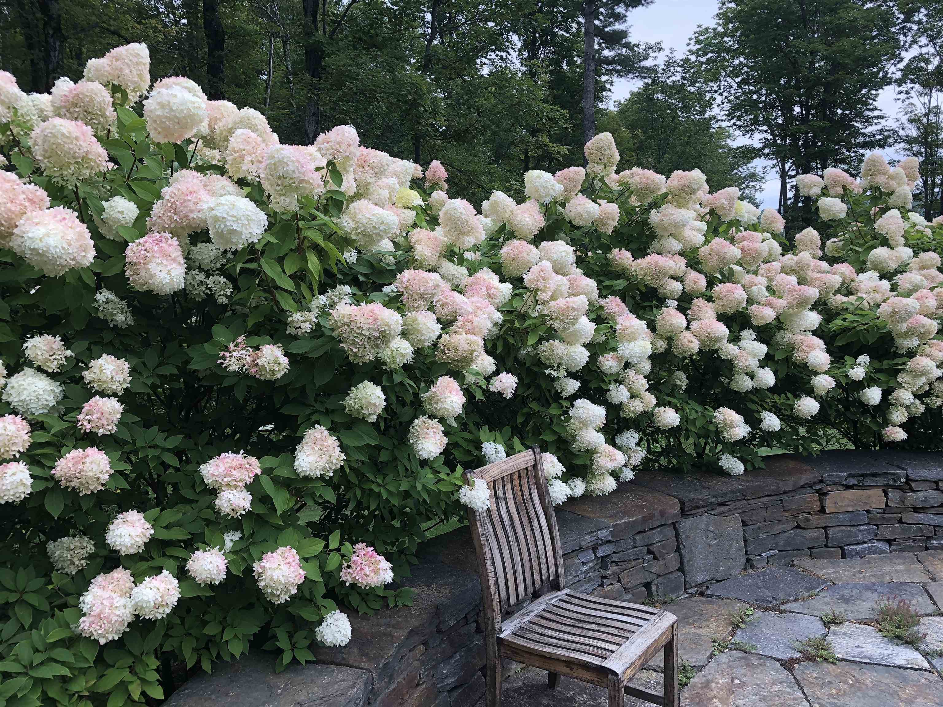 5893 Stage Road Barnard, VT 05091 - Photo 36 of 48