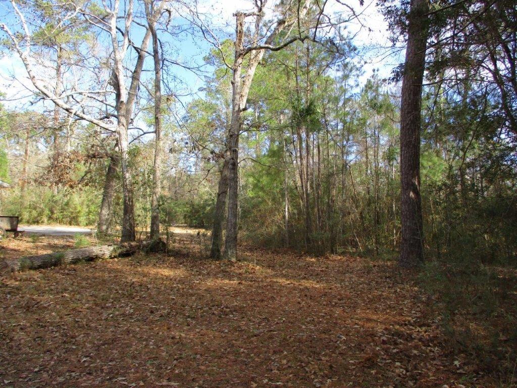 1050 Old River Road Slidell, LA 70461 - Photo 7 of 9